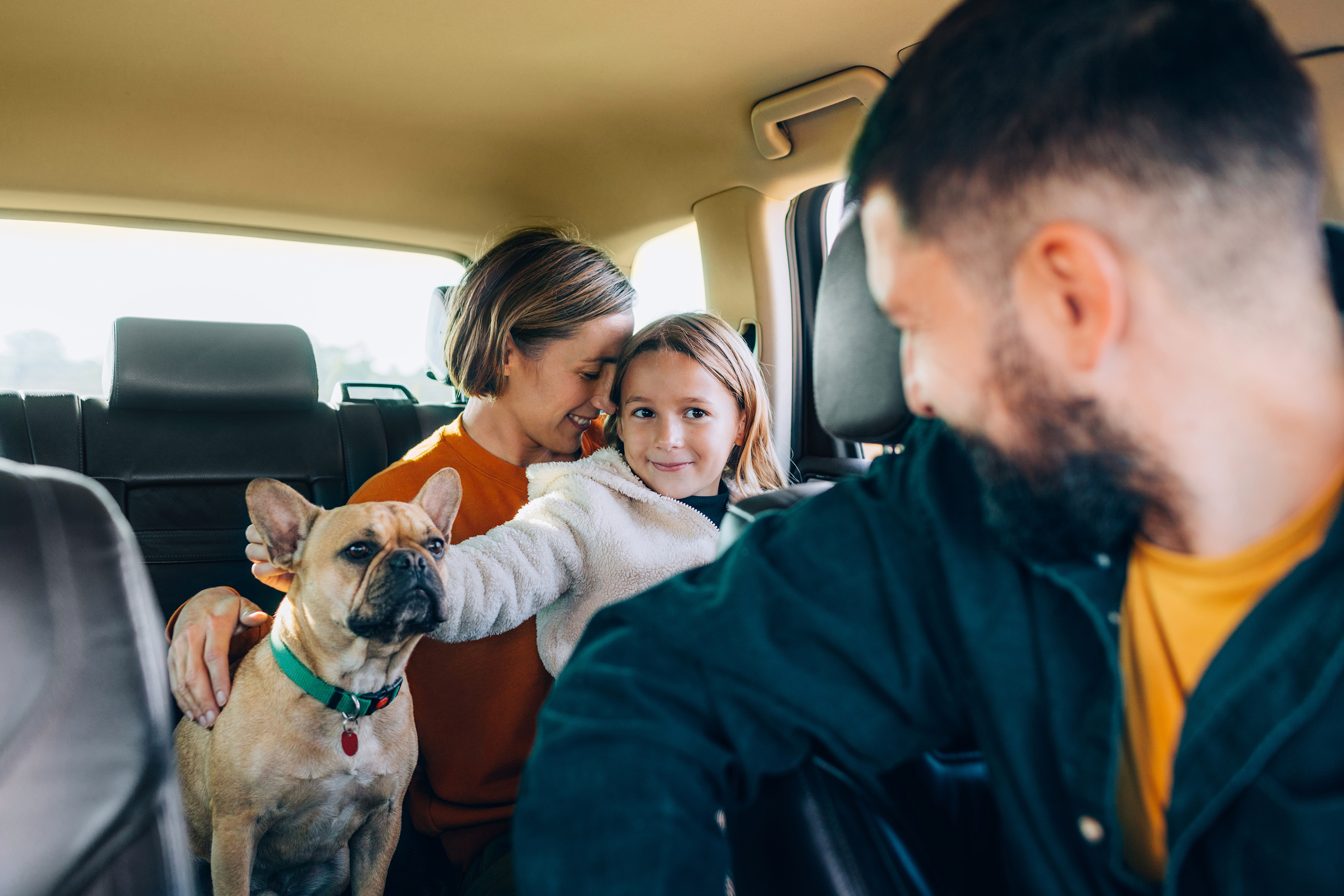 People spending time with their Kindred dogs